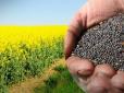 Польща будуватиме нові заводи орієнтуючись на нашу сировину: як аграрне лоббі Європи прагне змусити Україну експортувати насіння ріпаку, а не продукти переробки