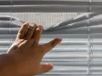 Є секрет! Як швидко очистити жалюзі від пилу без демонтажу