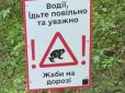 Важливий елемент екосистеми: В зелених зонах Києва облаштували незвичні природоохоронні попереджувальні знаки. (фото)