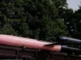 Уперше за довгий час Севастополь атакувала зграя 