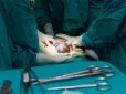 Трагедія в Одесі: 28-річна породілля померла під час екстреного кесаревого, дитину також не врятували