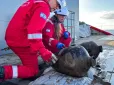 Велике відкриття щодо мореплавства бронзової доби: У Середземному морі на глибині 1,8 км знайшли залишки ханаанського торгового корабля віком близько 3300 років