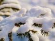 Морози до -4° і перші снігопади? Якою буде погода в Україні у листопаді