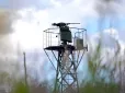 Українські розробки доводять свою ефективність: Автоматизовані турелі за місяць знищили у небі Києва десятки російських дронів