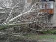 Негода вирує в Одесі: повалені дерева і розбиті авто, загинула людина (фото)