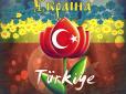 Тюркський фронт як подарунок долі: Чому Україні варто дружити з тюркським світом