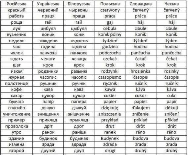 Схожість татарської мови з іншими мовами