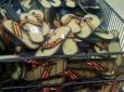 Услід за кокошниками: у Росії георгіївська стрічка з'явилася...на сандалях (фото)