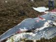 Замість порятунку: У Росії по-звірячому з'їли кита, що викинувся на берег (фото 18+)