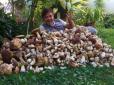 Купатися в славі: Киянин вполював на Закарпатті ціле море грибів (фотофакт)