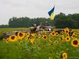 Бойовики на Донбасі отримали наказ Генштабу РФ про повне припинення вогню з 15 вересня, - розвідка