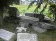 ​Трудне братерство: Поляки вибачились за знищення могили воїнів УПА у Верхраті