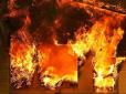 У Запоріжжі сталася потужна пожежа в лазні, людей рятувальники знімали з вікон (відео)