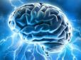 ​Американським вченим вдалося виростити штучний мозок
