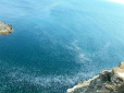 Узбережжя окупованого Криму атакувала неймовірна кількість медуз (фото)
