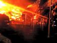 Трагедія в одеському дитячому таборі: Фахівець розповів, що стало причиною пожежі (фото)