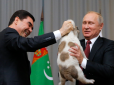 Цуценя шкода: У мережі підняли на сміх фото з подарунком Путіну від президента Туркменістану