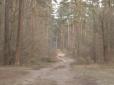 Моторошне вбивство в Києві: Рештки розчленованого тіла копи шукали у лісі та показували місцевим (відео 16+)