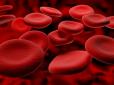 ТОП-7 фактів, які ви повинні знати про свою групу крові