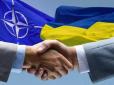 Ми хочемо, щоб Україна стала членом НАТО. Незважаючи на те, що реакція Росії не буде хорошою, - дипломат США