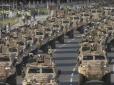 Українськими ПТРК озброїли катарські бронеавтомобілі (відео)