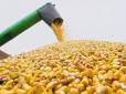 Наші рулять: Україна здійснила мрію Хрущова і завалила світ кукурудзою