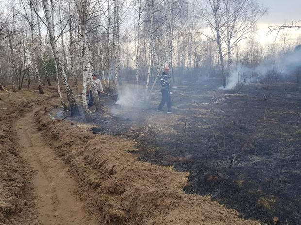 На Київщині влаштували масштабну пожежу через випалювання трави. Фото: Фейсбук.