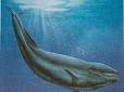 Останки стародавнього кита цетотерія, яким 9 мільйонів років, виявили на Херсонщині (фото)