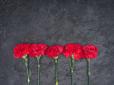 З архіву ПУ. Дочка топ-чиновників з МО і МОЗ розкидала квіти, покладені до могил солдатів (відео)