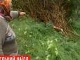 На Одещині п'яний екс-правоохоронець на смерть збив двох жінок (відео)