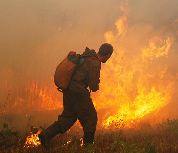 Потужна лісова пожежа у РФ. Фото: РБК.
