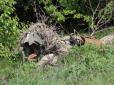 Один постріл - одна ціль: Українські снайпери показали, як вони тренуються (фото, відео)