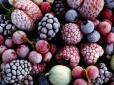 Завойовуємо нові ринки: Україна вперше експортувала заморожені ягоди до вибагливого та прискіпливого Сінгапуру