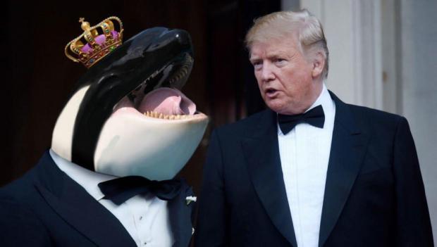 Трамп зустрівся із "принцем китів"? Ілюстрація: соцмережі.