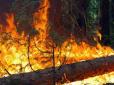 Підірвався тракторист: Біля Станиці Луганської горить замінований ліс