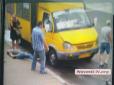 У Миколаєві водій маршрутки жорстоко розправився з п'яним пасажиром (фото, відео)