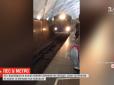 Пес ледь не зірвав роботу харківського метро (відео)