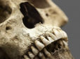 Ймовірно найдавніші останки людини поза межами Африки виявили у Греції