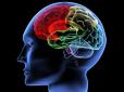 Вражаючі знімки МРТ: Як виглядає мозок людини, яка тривалий час вживає кокаїн