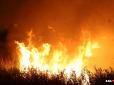 Біля кордону з Україною: На Росії спалахнула масштабна пожежа (фото, відео)