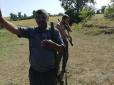 Нелюди мають бути покарані: На Київщині двоє браконьєрів застрелили лебедів (фото)