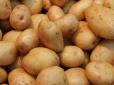 Еталонний продукт для оцінки харчової інфляції: В Україні злетіли ціни на картоплю, чого очікувати далі