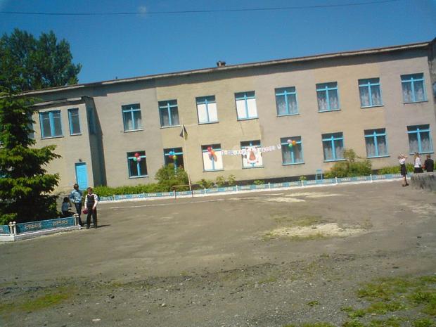 Школа у селі Вишгородок. Фото: Вікіпедія.