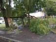 Негода наробила лиха: По Львову і області пронеслися руйнівний ураган зі зливою (фото, відео)