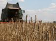 Хіти тижня. Ринок землі в Україні: Думка німецького фермера (відео)