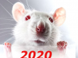 Зірки говорять: Гороскоп на 2020 рік