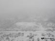 У Владивостоці - повний колапс: Російське Примор'є накрив сніговий апокаліпсис (фото, відео)