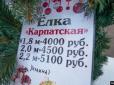Бабло перемагає: В окупованому Криму продають ялинки з Прикарпаття (фотофакт)