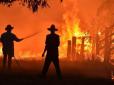 Масштаб катастрофи вражає: Потужні лісові пожежі в Австралії зняли з космосу (фото, відео)