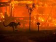Майже півмільярда тварин стали жертвами масштабних пожеж у Австралії (фото)